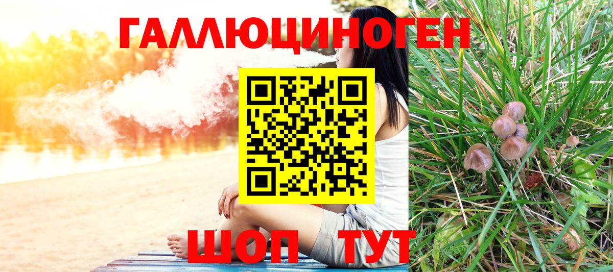 Псилоцибиновые грибы ЛСД Алатырь